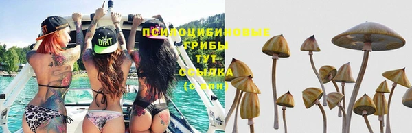 кокаин Медногорск