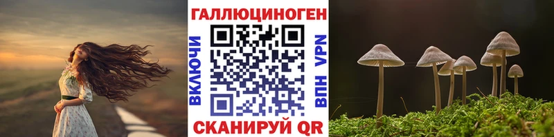 ссылка на мегу tor мориарти клад Псилоцибиновые грибы мухоморы Чегем